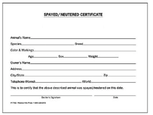 Document