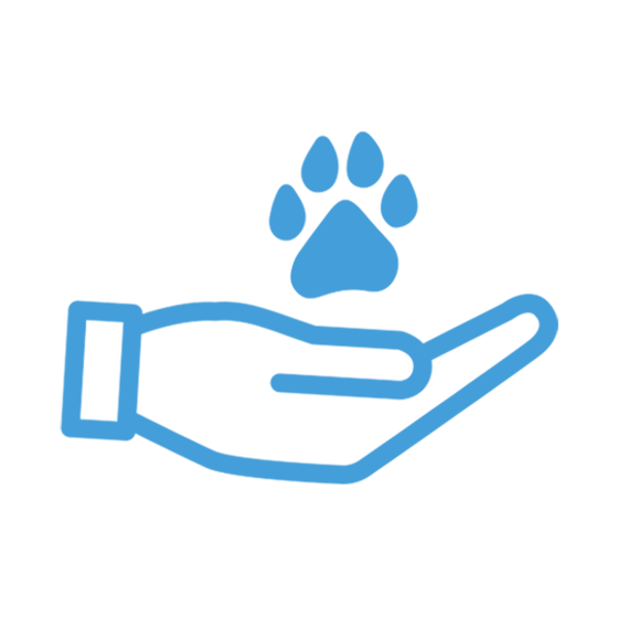 Pets Fostered Icon