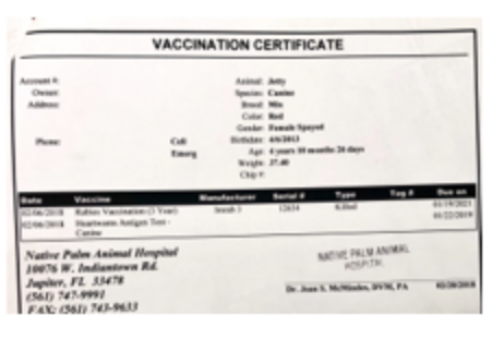 Document